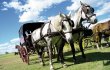 &copy; alma - fotolia.com