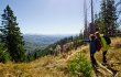 © Daniela Blöchinger/Nationalpark Bayerischer Wald