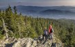 © Frank Bietau/Nationalpark Bayerischer Wald