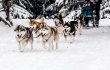 © Melinda Nagy - stock.adobe.com