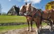 © franke182 - stock.adobe.com