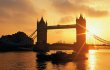 © rabbit75_fot-fotolia.com