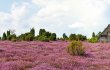 &copy; Gabriele Rohde-fotolia.com