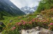 &copy; by paul-fotolia.com