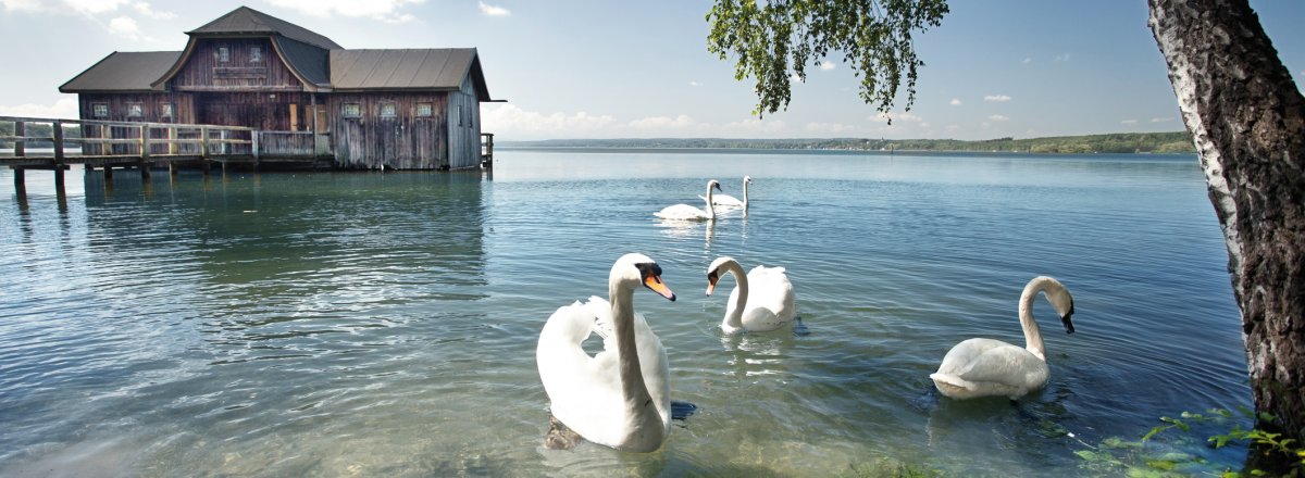 Bootshaus am Ammersee © Jenny Sturm - fotolia.com