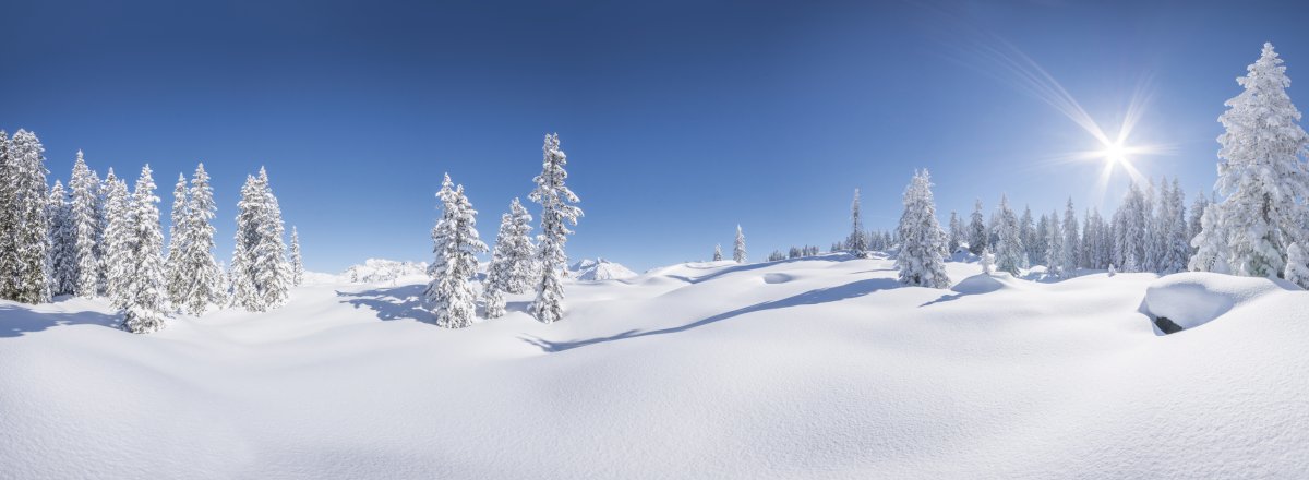 Winterpanorama - Verschneite Winterlandschaft © Netzer Johannes-fotolia.com
