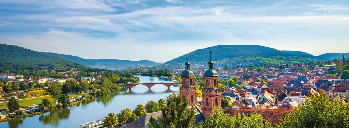 Blick auf Miltenberg am Main © borisbelenky-stock.adobe.com