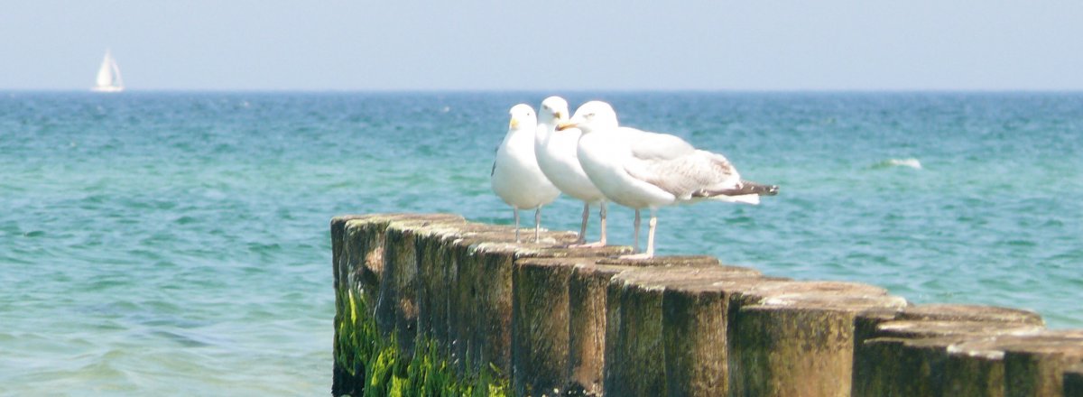 Travemnde Mit Kindern Die Besten Ostsee Tipps Fr Familien