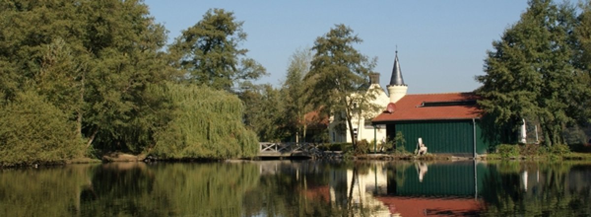 Hariksee
