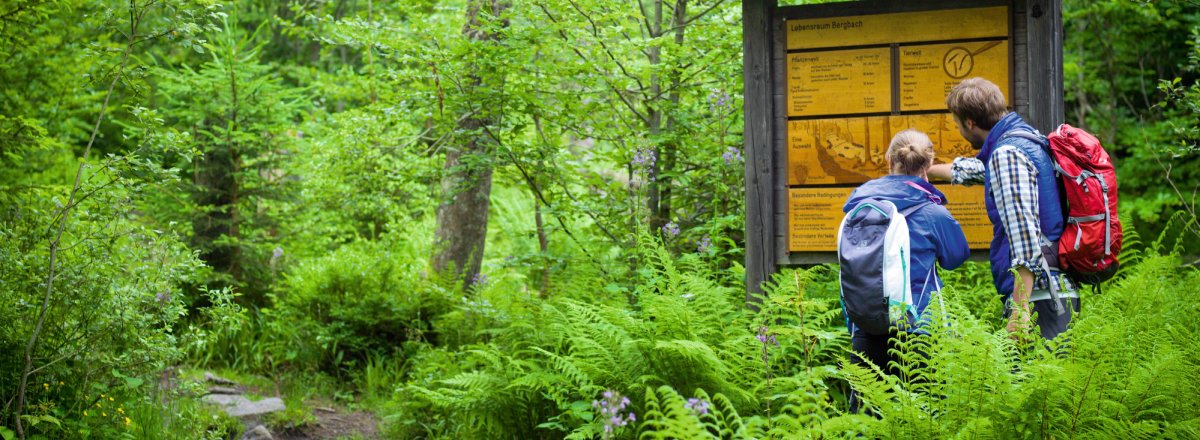 Fredenbrücke © Daniela Blöchinger/Nationalpark Bayerischer Wald