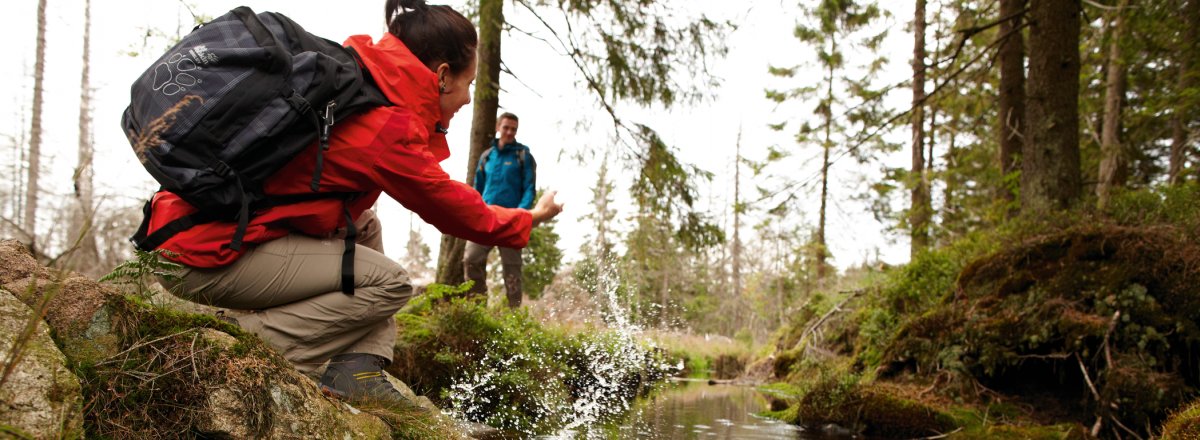 Harz - Wanderreise © (c)Harzer Tourismusverband, M. Gloger 