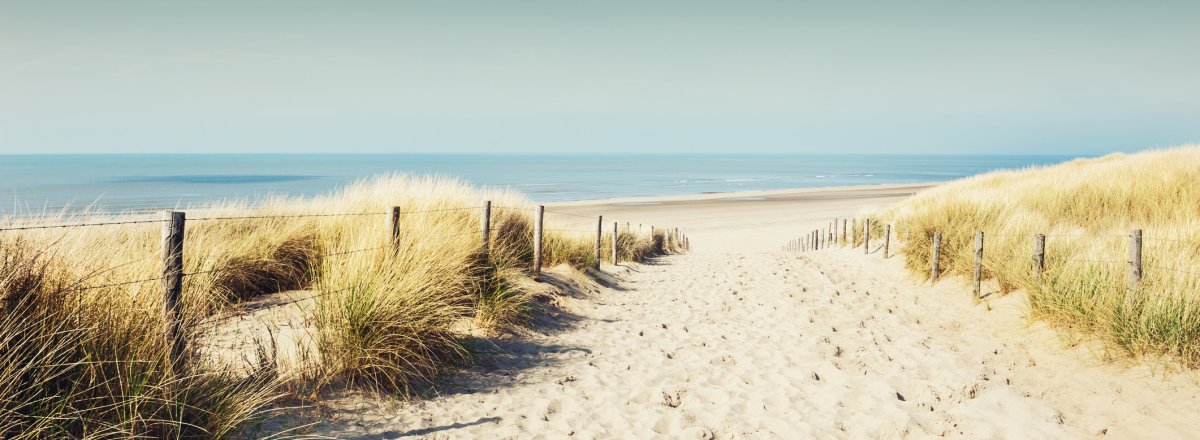 Sandstrand in Noordwijk © smallredgirl - stock.adobe.com