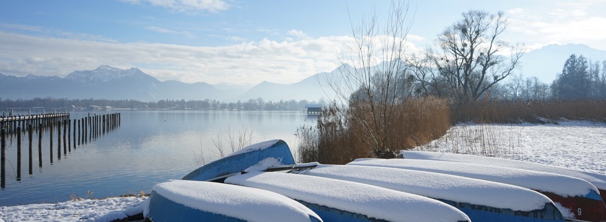 Ruderboote am Chiemsee © Chiemsee-Alpenland Tourismus GmbH & Co. KG