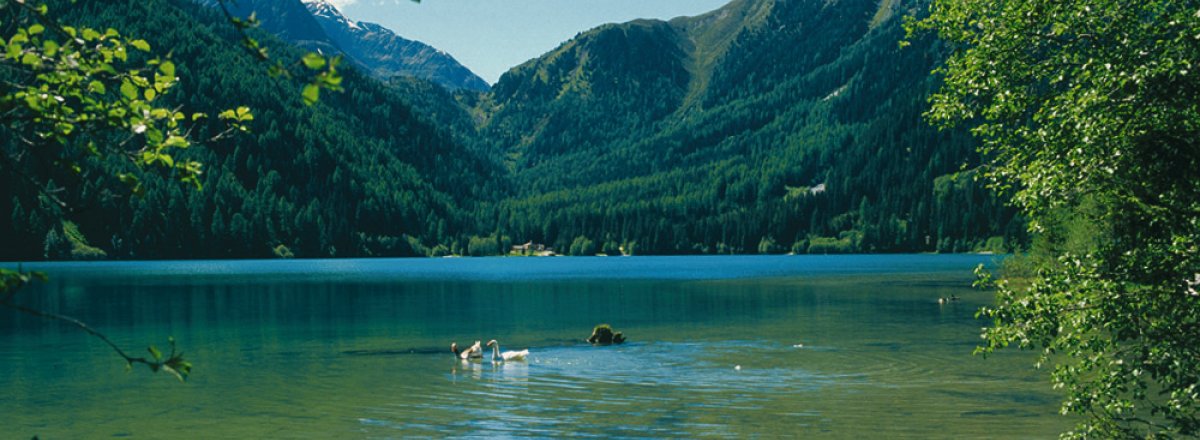 Antholzer See