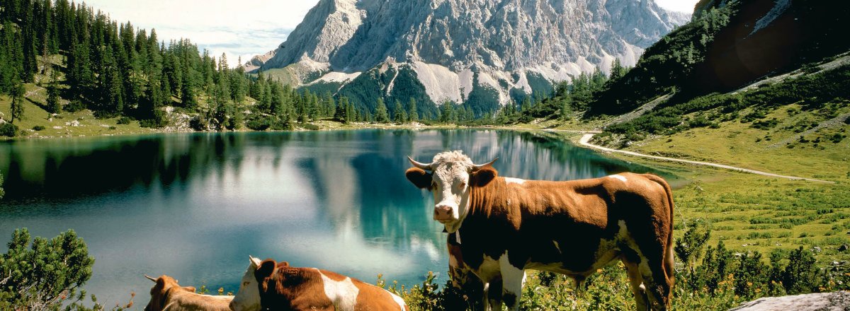 Grandioses Bergpanorama in der Tiroler Zugspitzarena © Tiroler Zugspitzarena