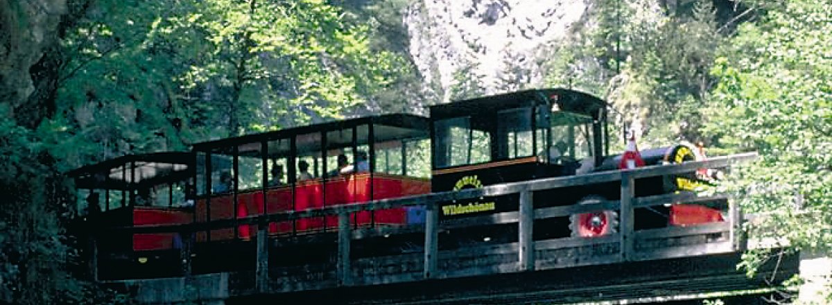 Bummelzug in der Wildschönau © TVB Wildschönau