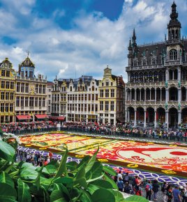 Blumenteppich auf dem Grand Place in Brüssel