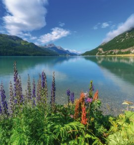 Champferersee &copy; ivan kmit-fotolia.com
