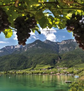 Blick auf den Kalterer See &copy; Tourismusverein Kaltern/Helmuth Rier