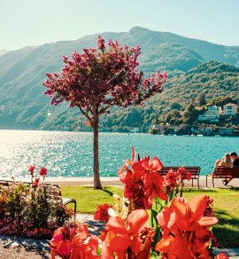Am Ufer des Lago Maggiore in Ascona &copy; Roman Babakin - stock.adobe.com
