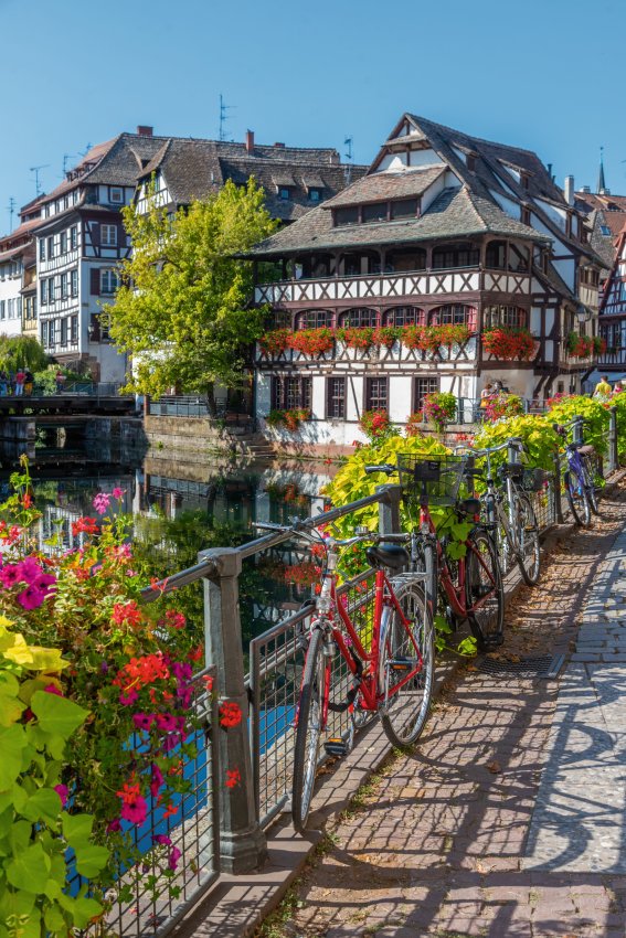 fahrradständer zum aufbocken ROCKBROS Fahrrad-Bodenständer, verstellbare Parkständer für alle 26–80mm Breiten Fahrradreifen für die Aufbewahrung von MTBs und Rennrädern im Innenbereich Schwarz Sport & Freizeit Model:Dice 4.0 handschuhe fahrrad winter wasserdicht display-countdown